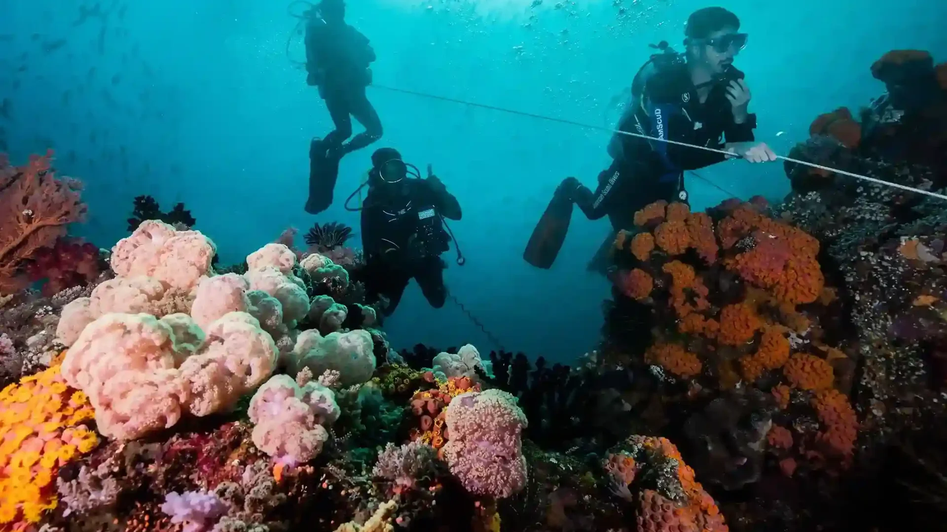 Diving Raja Ampat Bali