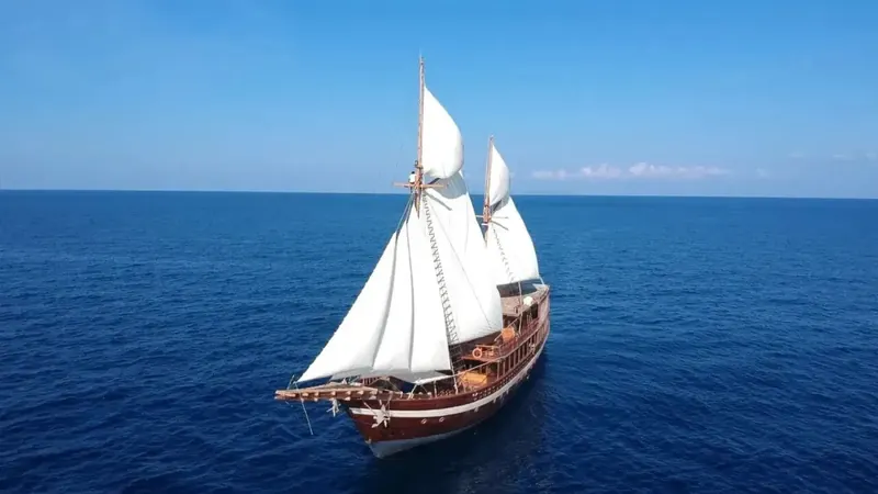 Coralia, Raja Ampat
