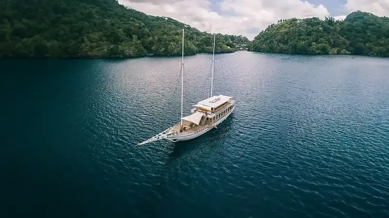 Fenides, Raja Ampat