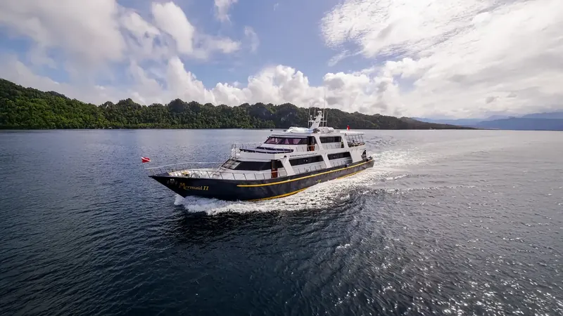 Mermaid II, Raja Ampat