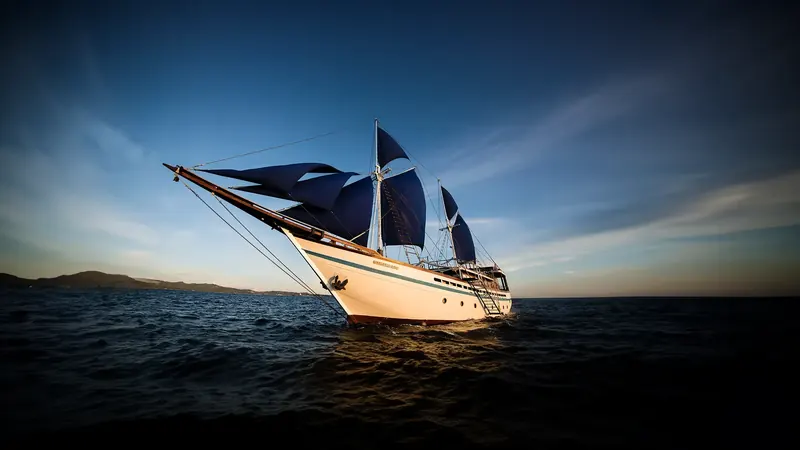 Samambaia, Raja Ampat