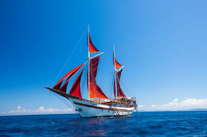 Tiare, Raja Ampat